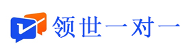 北京领世一对一