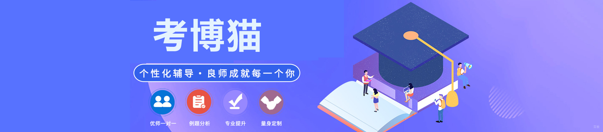 济南考博猫