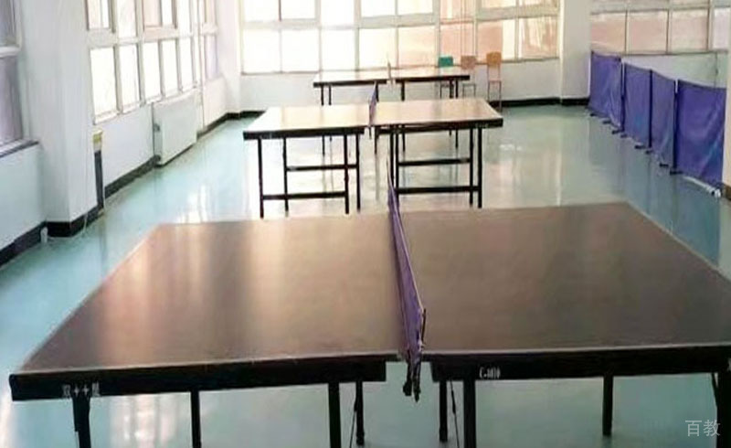 娱乐活动