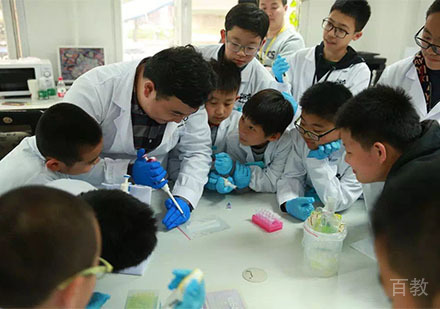 老师教学情形