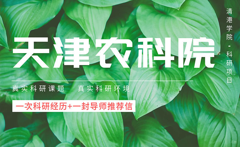 天津大学科研项目