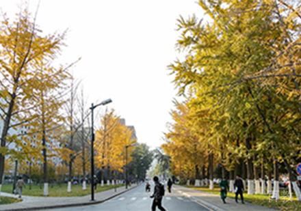 学校风景