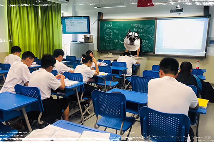 国际课程辅导