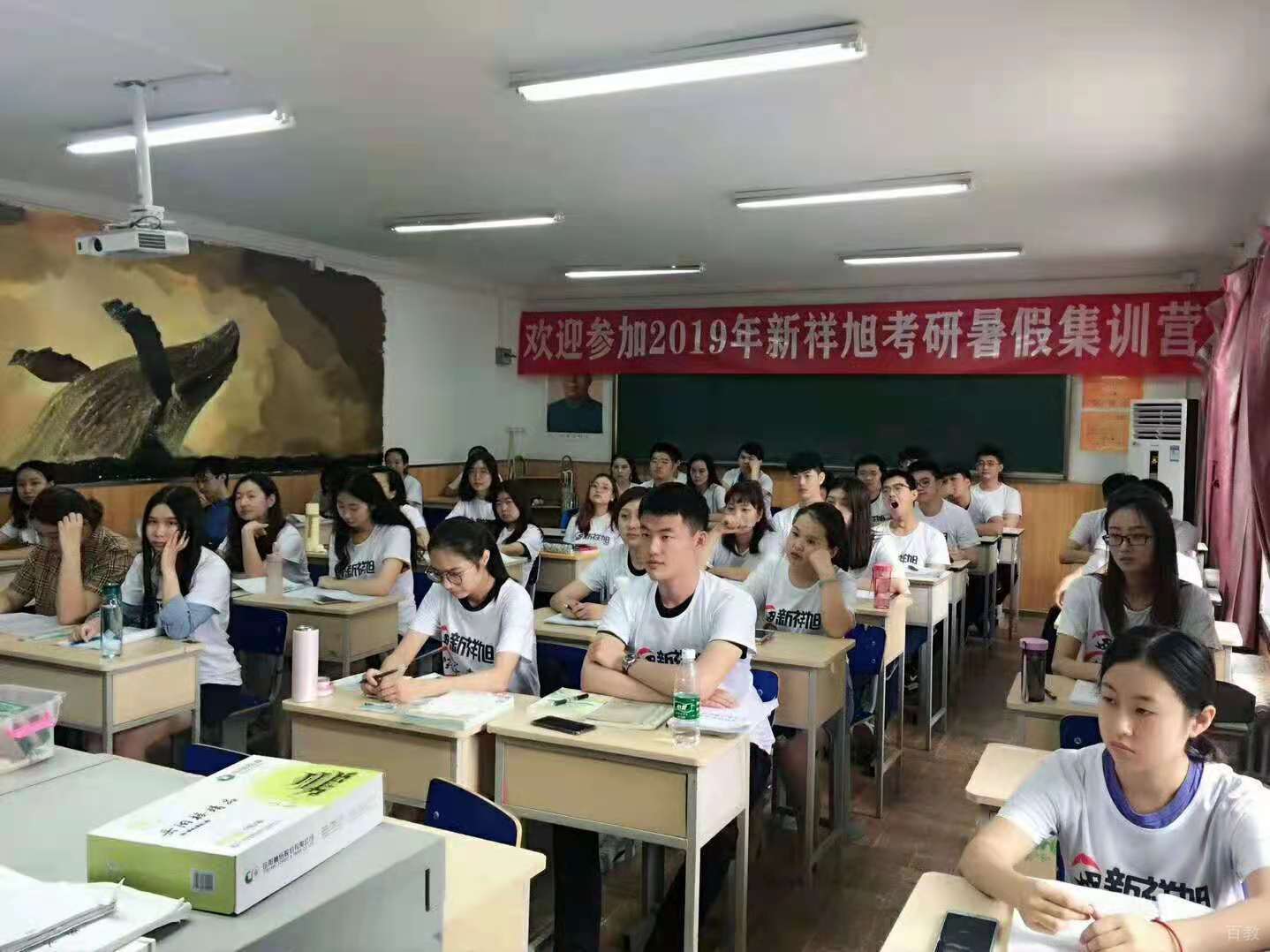 学生认真听课