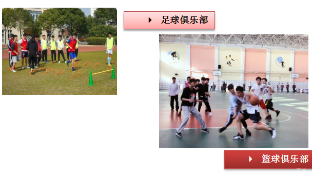 丰富多彩的社团与俱乐部活动