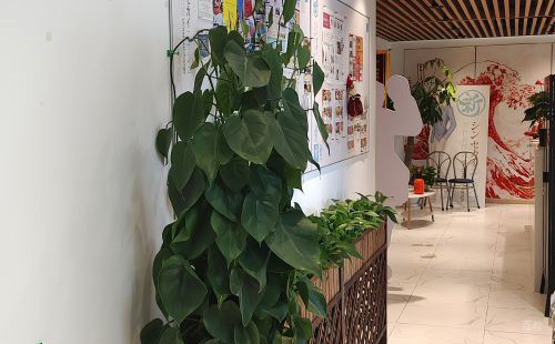 学校图片