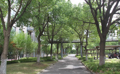 学校环境照片