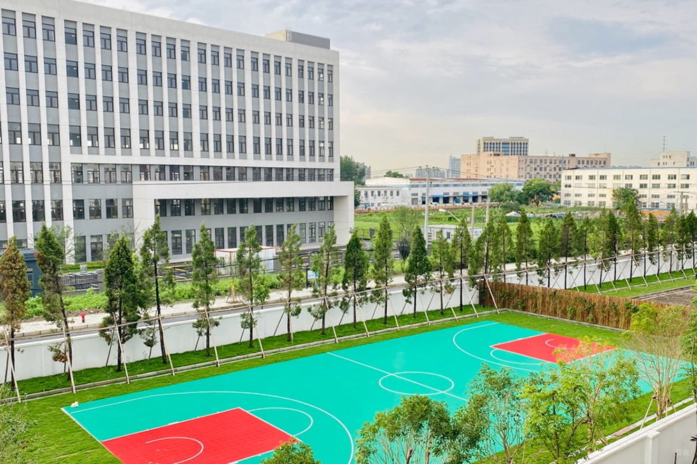 学校操场环境展示