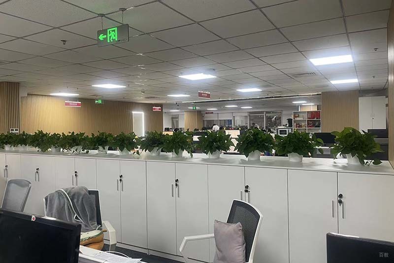 学校环境照片图
