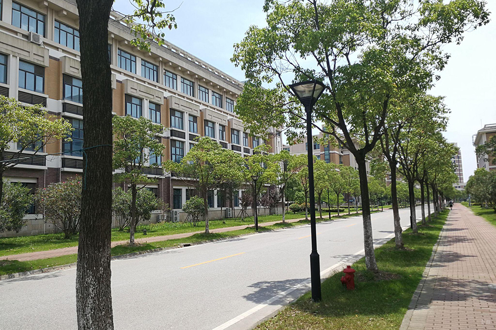学校环境图片
