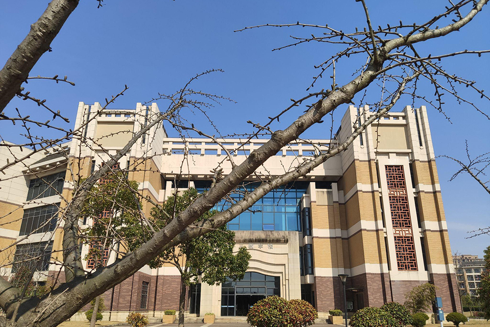 学校环境一角