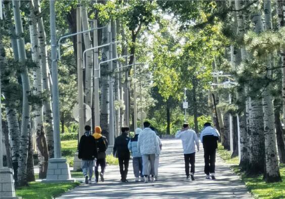 学校环境图片