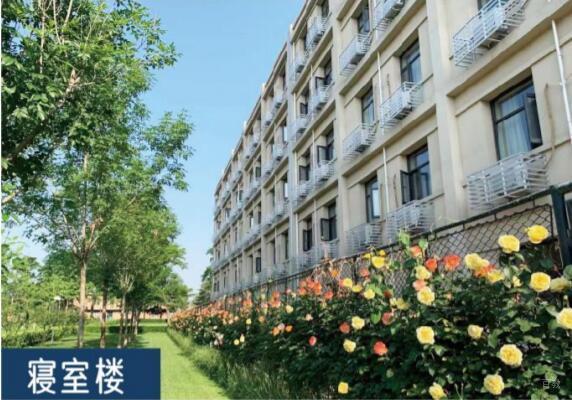 学校相册图片