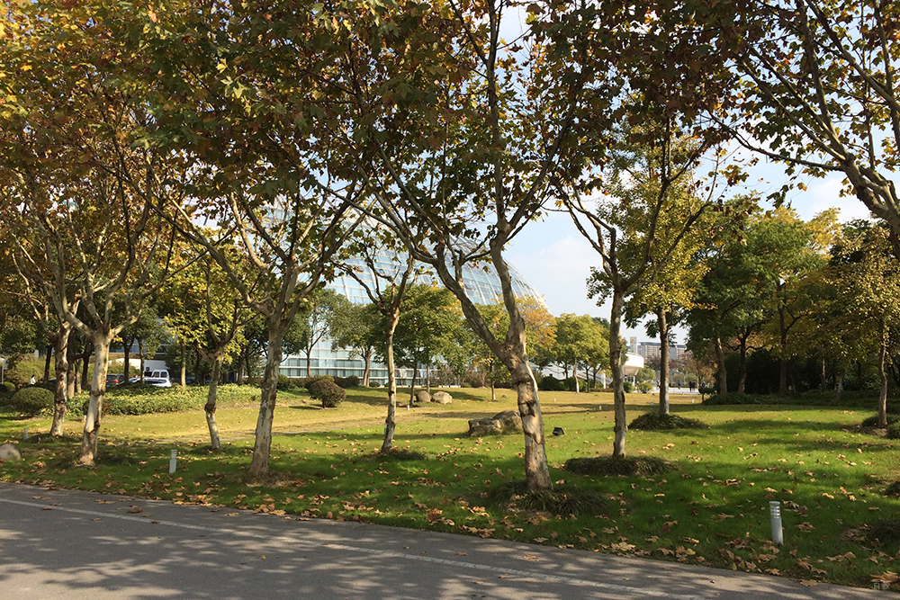 学校环境相册