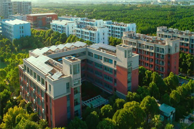 学校环境照片