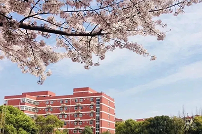 学校环境照片