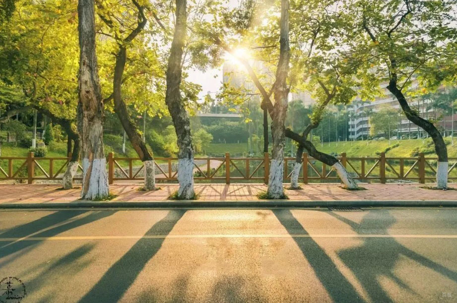 学校相册