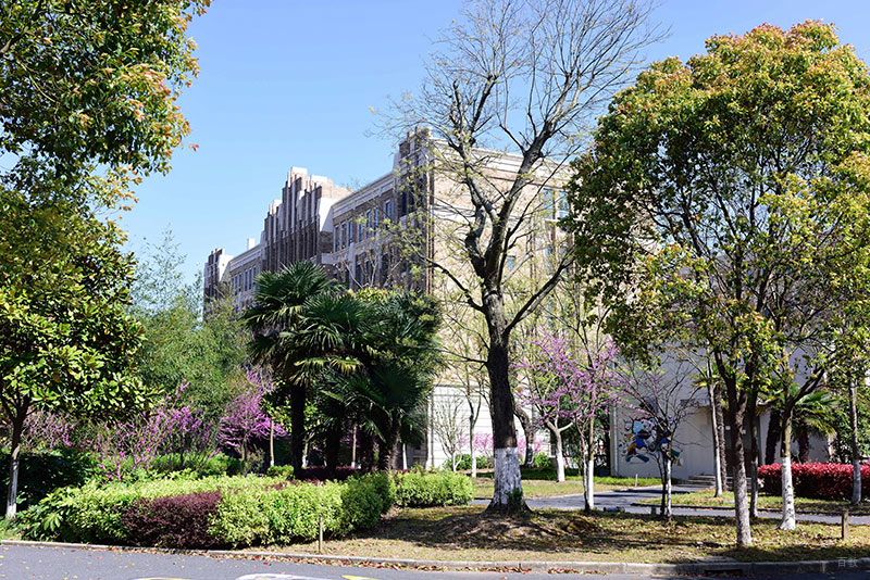 学校环境