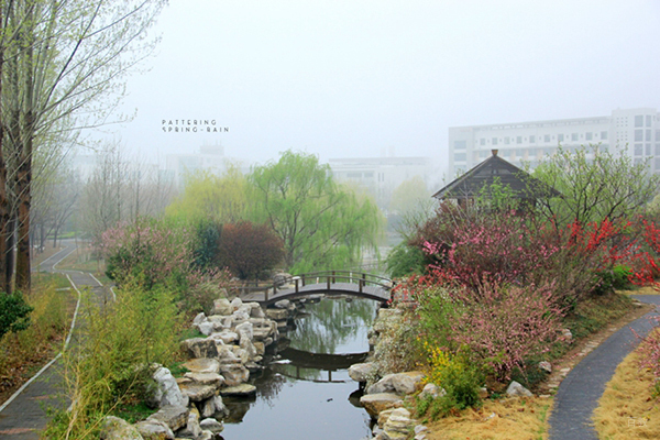 校园风采