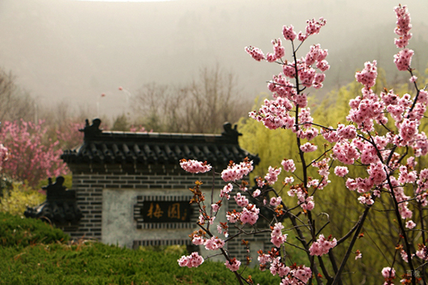 学校风采