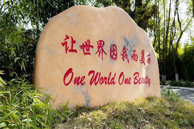 学校环境图片