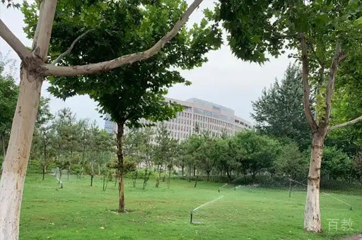 学校风景