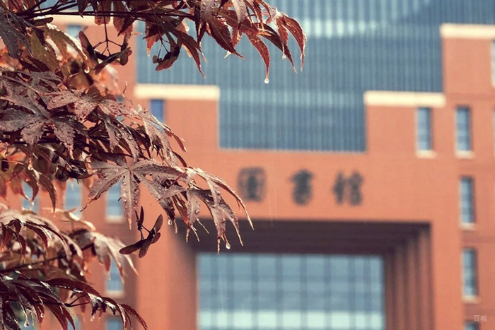 图书馆环境