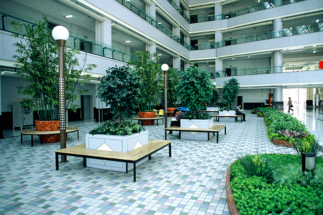 学校环境3