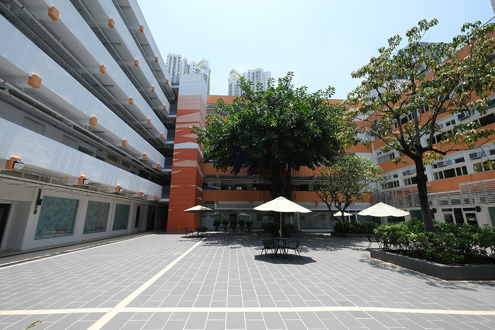 学校环境一角1
