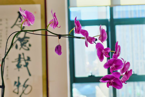 教学环境1