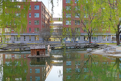学校环境3
