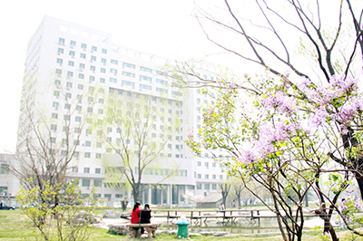 学校环境4