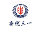 上海睿优三一学院