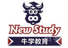 洛阳牛学教育前台