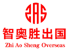 上海智奥胜出国