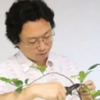 高老师