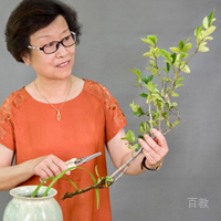 庄老师