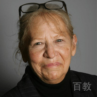 Shapiro导师