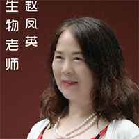 赵凤英老师