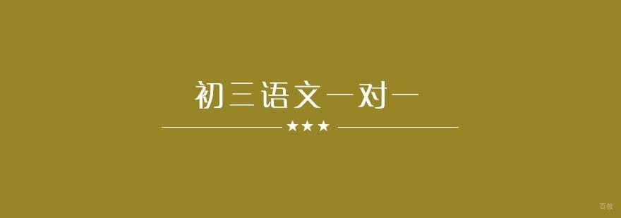 武汉初三语文辅导班