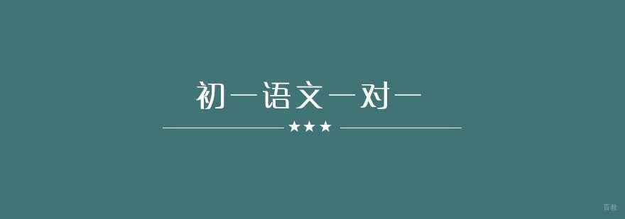 武汉初一语文一对一精品班