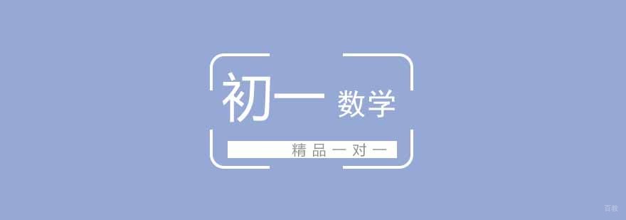 武汉初一数学精品一对一