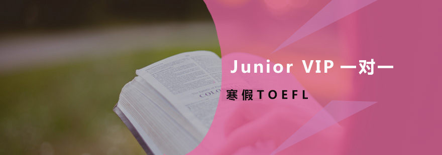 寒假TOEFL-Junior VIP一對一