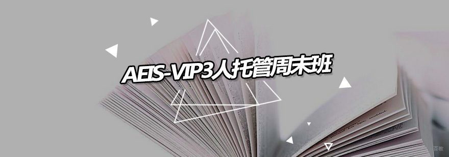 AEIS-VIP3人托管周末班