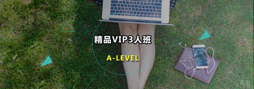 A-LEVEL精品VIP3人班