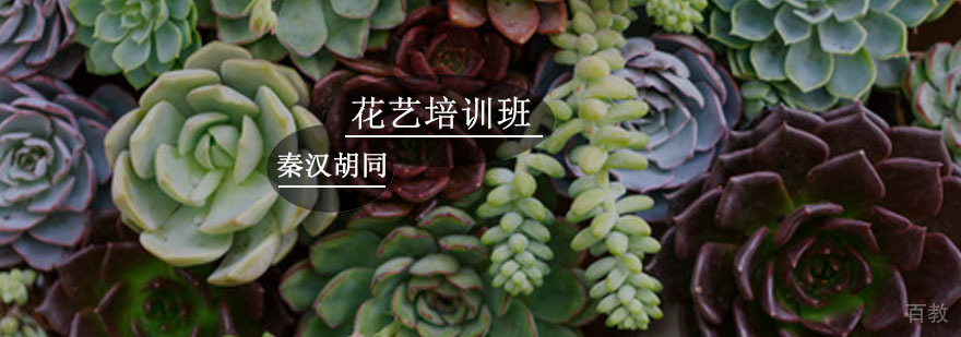 花艺培训班