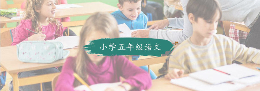 小学五年级语文培训程