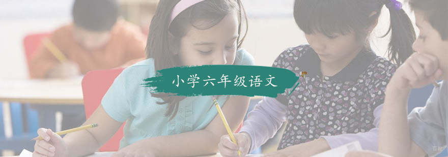 小学六年级语文培训