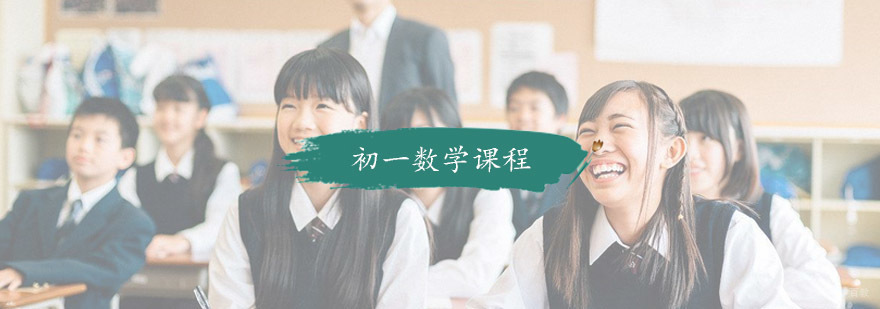 初一数学课程