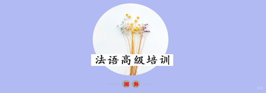 法语高级培训